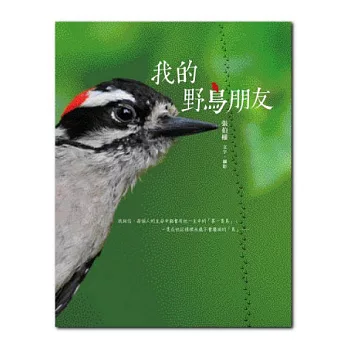 我的野鳥朋友