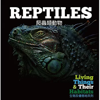 【幼兒科普】生物及棲息地系列：爬蟲類動物