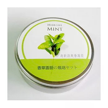 香草栽培罐Ⅱ- 香薄荷