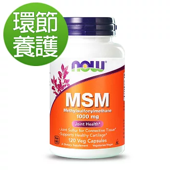 NOW健而婷－MSM 1000(120顆/瓶)