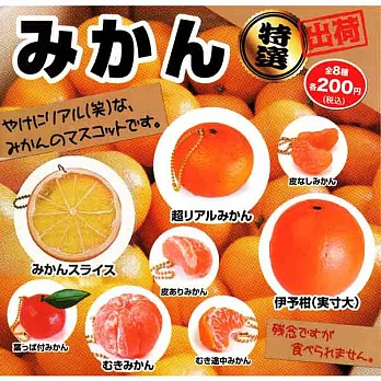 【日本正版授權】全套8款 特選大柑橘造型吊飾 扭蛋/轉蛋/吊飾 BEAM