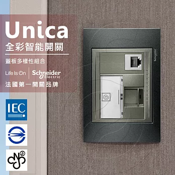 法國Schneider Unica Top埋入式資訊網路/電話插座金屬灰外框