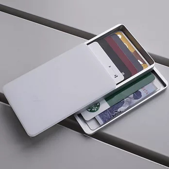 The Ingenious Wallet 行動錢包 2 series - Z2+銀