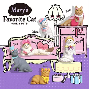 Mary’s favorite Cat 時尚寵物貓咪(箱購12入)