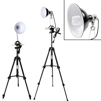 digiXtudio專業直立型30w白光攝影燈
