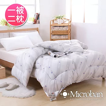 【Microban-純淨呵護】台灣製新一代抗菌竹炭被2.2kg(含2枕)