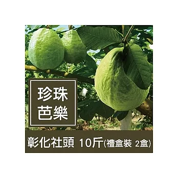 一籃子彰化社頭【珍珠芭樂】10斤禮盒裝