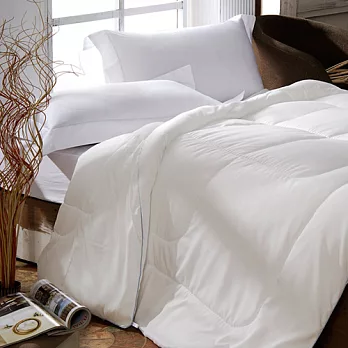 《義大利La Belle》輕柔舒眠天絲四季被--特大