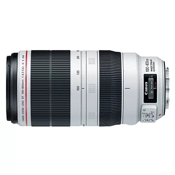 (公司貨)Canon EF 100-400mm F4.5-5.6L IS II USM 望遠變焦鏡頭-送TOKO濾鏡(77)+大吹球清潔組+LP1專業拭鏡筆