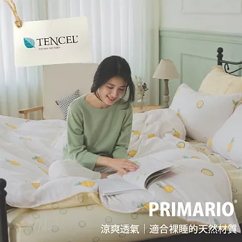 預購◄ PRIMARIO 【古茉檸】台灣製 100%奧地利天絲 加大薄被套床包四件組