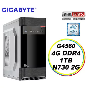 【GIGABYTE 技嘉 】H110平台「勇者」第7代 G系列雙核/1TB/2G獨顯 效能電腦 C028