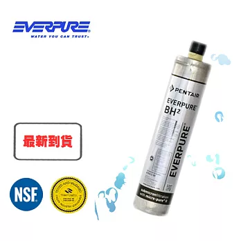 EVERPURE 美國原裝進口濾心 BH2