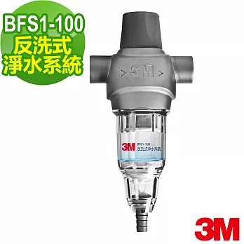 【3M】BFS1-100反洗式淨水系統