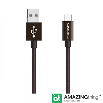 AmazingThing USB Type C 快速充電傳輸線(18cm)鐵灰