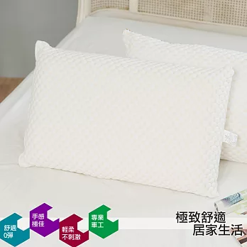 【eyah宜雅】台灣製蜂巢洞洞大型乳膠枕2入組