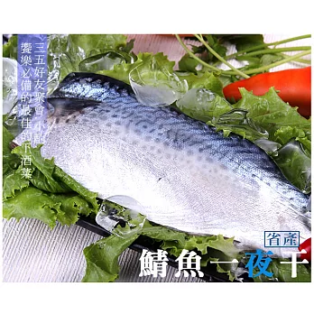 【買新鮮】省產鯖魚一夜干10片(130±10%/片)