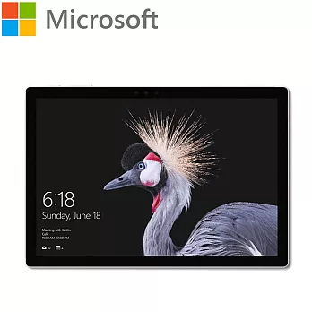 Microsoft 微軟 Surface Pro 12.3吋 平板電腦(i7/8G/256G/Win10 Pro)