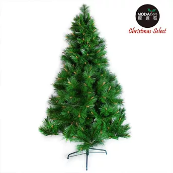 【摩達客】台灣製10尺/10呎(300cm)特級綠松針葉聖誕樹裸樹 (不含飾品)(不含燈)