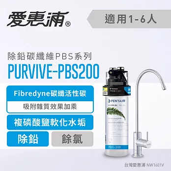 【愛惠浦公司貨】EVERPURE 除鉛碳纖維家用型淨水器(PURVIVE-PBS200)