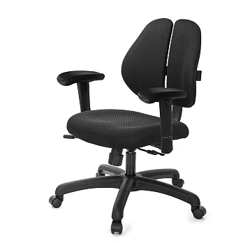 GXG 人體工學 雙背椅 (升降滑面扶手) TW-2991E6 請備註顏色