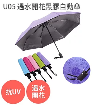 U05【遇水開花 黑膠 自動傘】 晴雨兩用 多色可選紫
