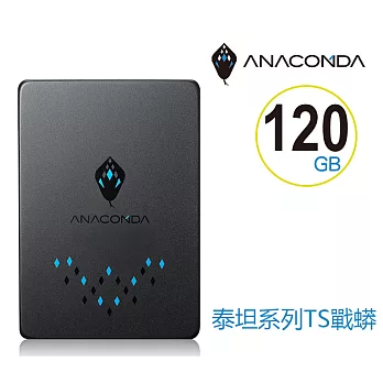 ANACOMDA巨蟒 TS 120GB 固態硬碟