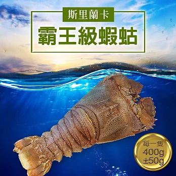 【優鮮配】巨無霸斯里蘭卡頂級蝦蛄3隻(400g/隻)免運組