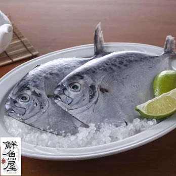 【鮮魚屋】台灣野生現流急凍皮刀魚150g*1條