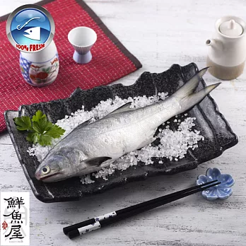 【鮮魚屋】現撈急凍台灣野生午仔魚350g*1條