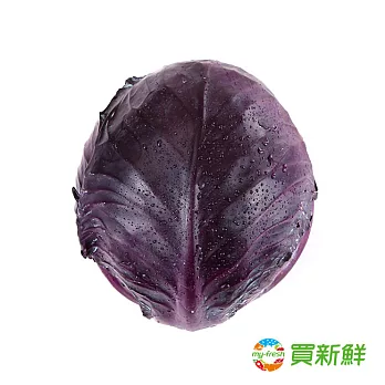 【買新鮮】紫高麗菜(1kg/包)