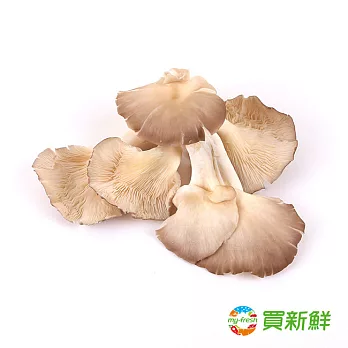 【買新鮮】秀珍菇(120g/盒)