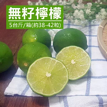 【產地直送】南投竹山無籽檸檬5台斤X1箱(約38-42顆/箱)