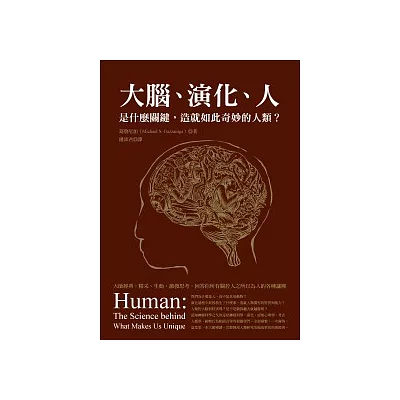 大腦、演化、人:是什麼關鍵,造就如此奇妙的人類?