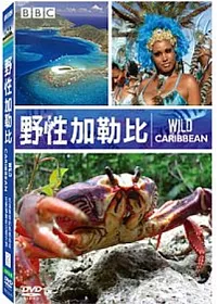 野性加勒比 DVD