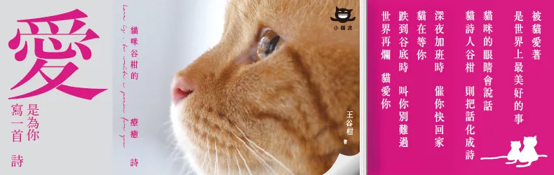 以詩，記錄已然失去的鄉愁，召喚消逝的事物與生命經驗──《沉舟記》