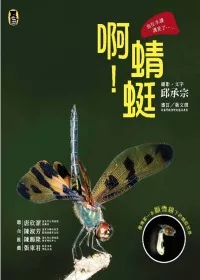 啊！蜻蜓