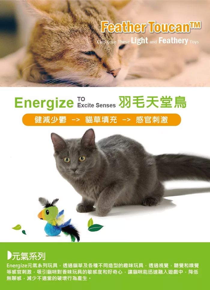 ☆御品小舖☆ 美國 Petstages 90019 羽毛天堂鳥-貓草玩具 寵物貓咪玩具