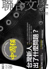 聯合文學 11月號/2011 第325期
