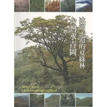 冰河孑遺的夏綠林:台灣水青岡