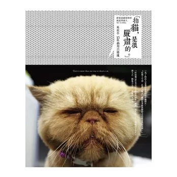 拍貓,是很嚴肅的。:吳毅平15年貓寫真精選