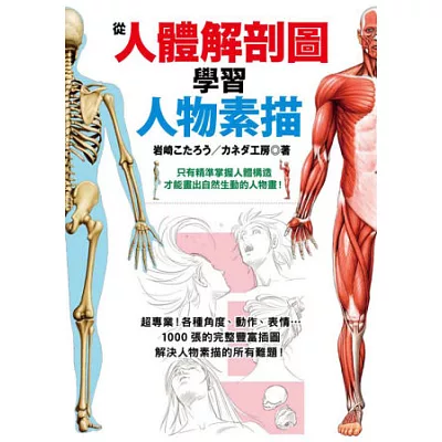 從人體解剖圖學習人物素描