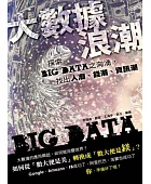 大數據浪潮:探索BIG DATA之洶湧,找出人潮、錢潮、資訊潮