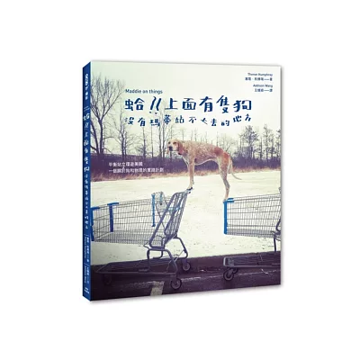 蛤?!上面有隻狗:沒有瑪蒂站不上去的地方