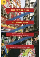 The world in Guangzhou : Africans and other foreigners in South China