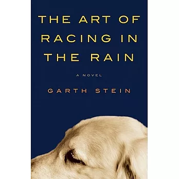 The Art of Racing in the Rain