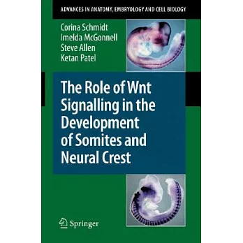 The Role of Wnt Signalling in the Development of Somites and Neural Crest