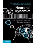 Neuronal dynamics : from single neurons to networks and models of cognition