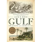 The Gulf: The Making of an American Sea