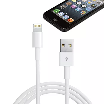 Apple iPhone6/Plus/5 iPad/mini Lightning USB 傳輸充電線(1m)白