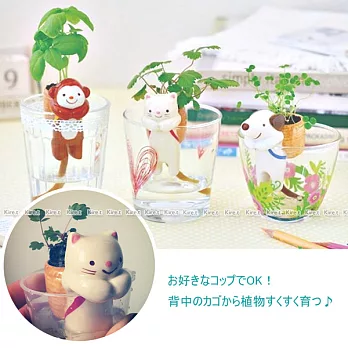 日本熱賣 超萌動物尾巴吸水造型植栽 療癒 盆栽-辦公桌小園藝 桌面創意植物 培育水貓